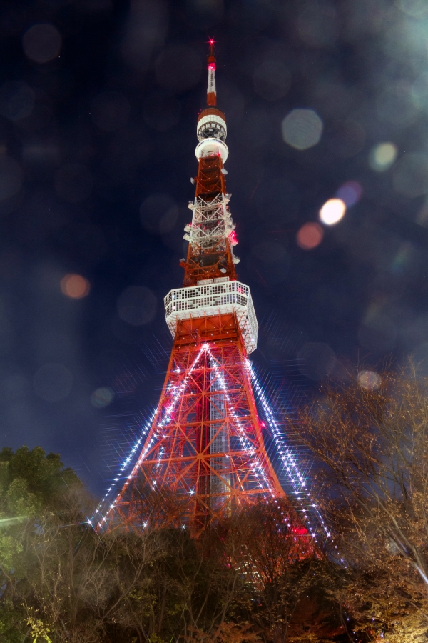 성탄절의 일본 도쿄타워