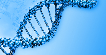인간의 유전자가 누구의 특허 대상이 될 수 있는가? 