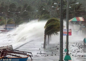 태풍 하이옌이 불어닥친 필리핀의 모습