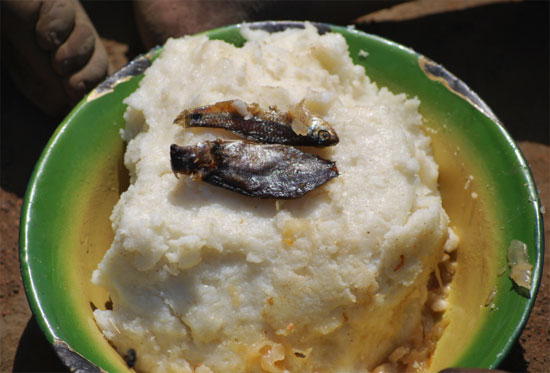 잠비아 사람들이 일반적으로 하루에 한 끼 먹는 식사